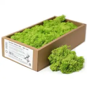Decoration Reindeer Moss – Light Grass  – (approx 500gm) | www.artisangoods.co.uk