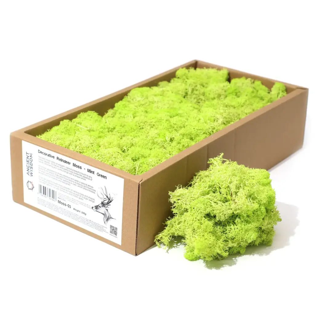 Decoration Reindeer Moss – Mint Green  – (approx 500gm) | www.artisangoods.co.uk
