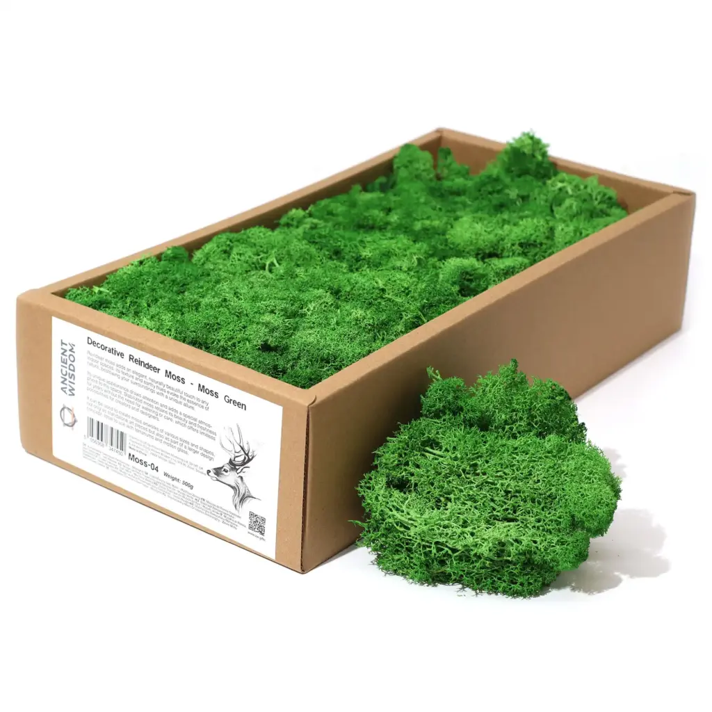 Decoration Reindeer Moss – Moss Green – (approx 500gm) | www.artisangoods.co.uk