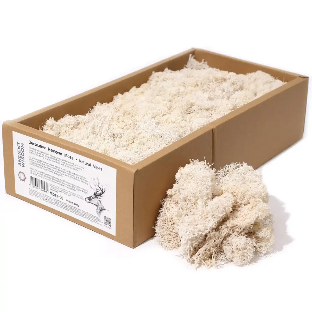 Decoration Reindeer Moss – Natural Vibes – (approx 500gm) | www.artisangoods.co.uk