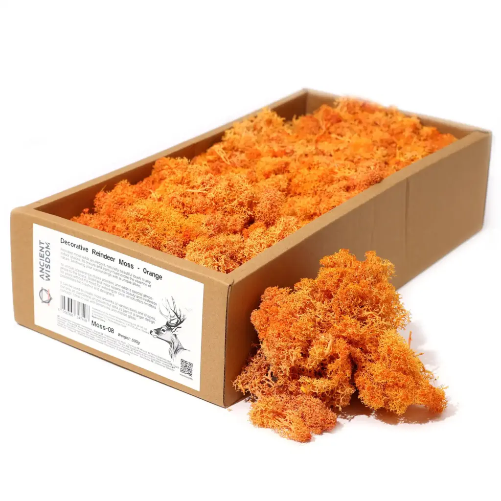 Decoration Reindeer Moss – Orange – (approx 500gm) | www.artisangoods.co.uk