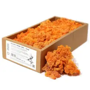 Decoration Reindeer Moss – Orange – (approx 500gm) | www.artisangoods.co.uk