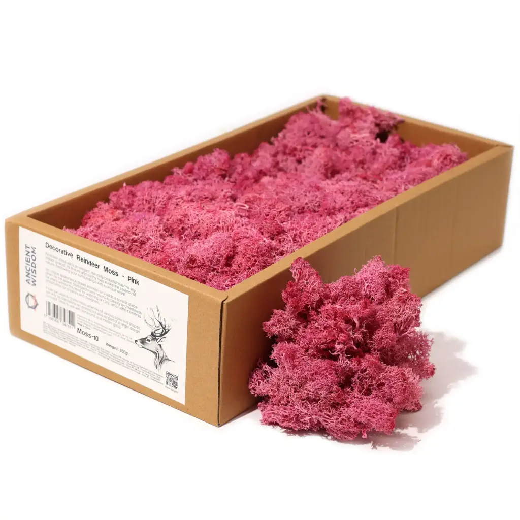 Decoration Reindeer Moss – Pink – (approx 500gm) | www.artisangoods.co.uk