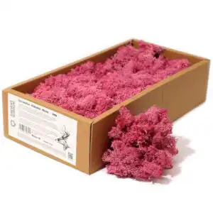 Decoration Reindeer Moss – Pink – (approx 500gm) | www.artisangoods.co.uk