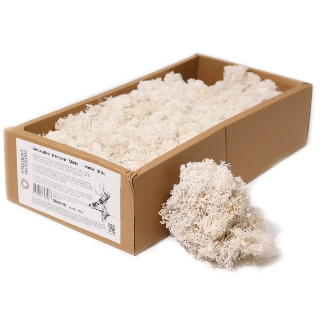 Decoration Reindeer Moss – Snow White – (approx 500gm) | www.artisangoods.co.uk