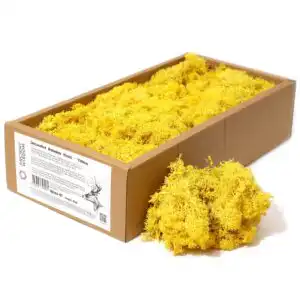 Decoration Reindeer Moss – Yellow – (approx 500gm) | www.artisangoods.co.uk