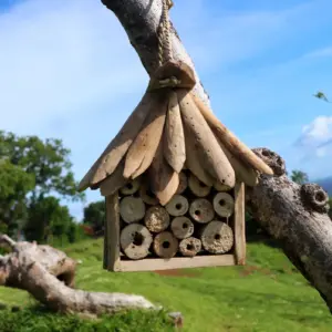 Driftwood Bee & Insect Box | www.artisangoods.co.uk 4