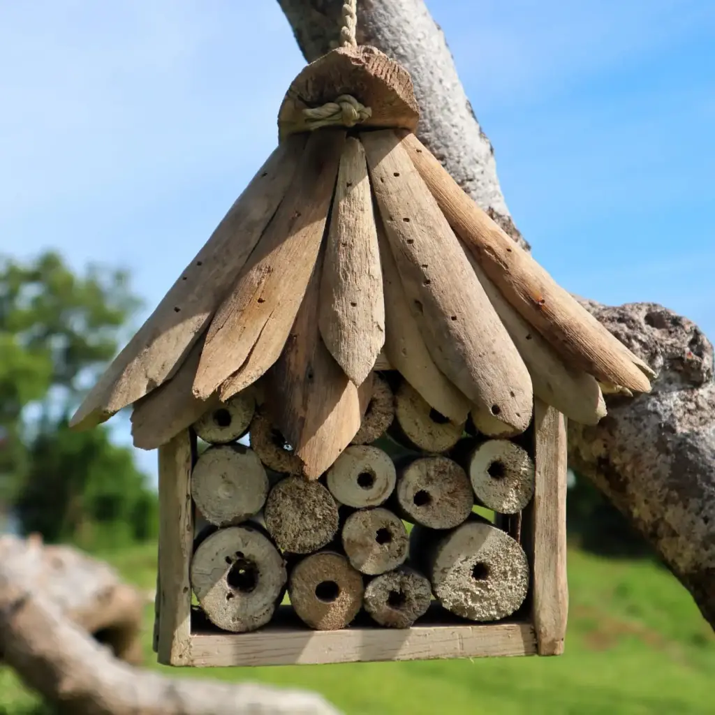 Driftwood Bee & Insect Box | www.artisangoods.co.uk 3