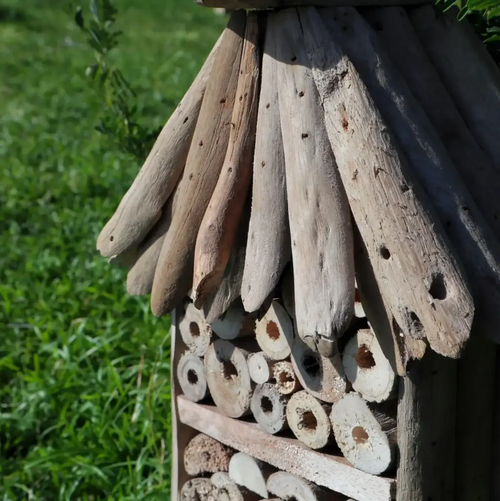 Driftwood Bee & Insect Highrise Box | www.artisangoods.co.uk 4 Driftwood Bee & Insect Highrise Box | www.artisangoods.co.uk 4