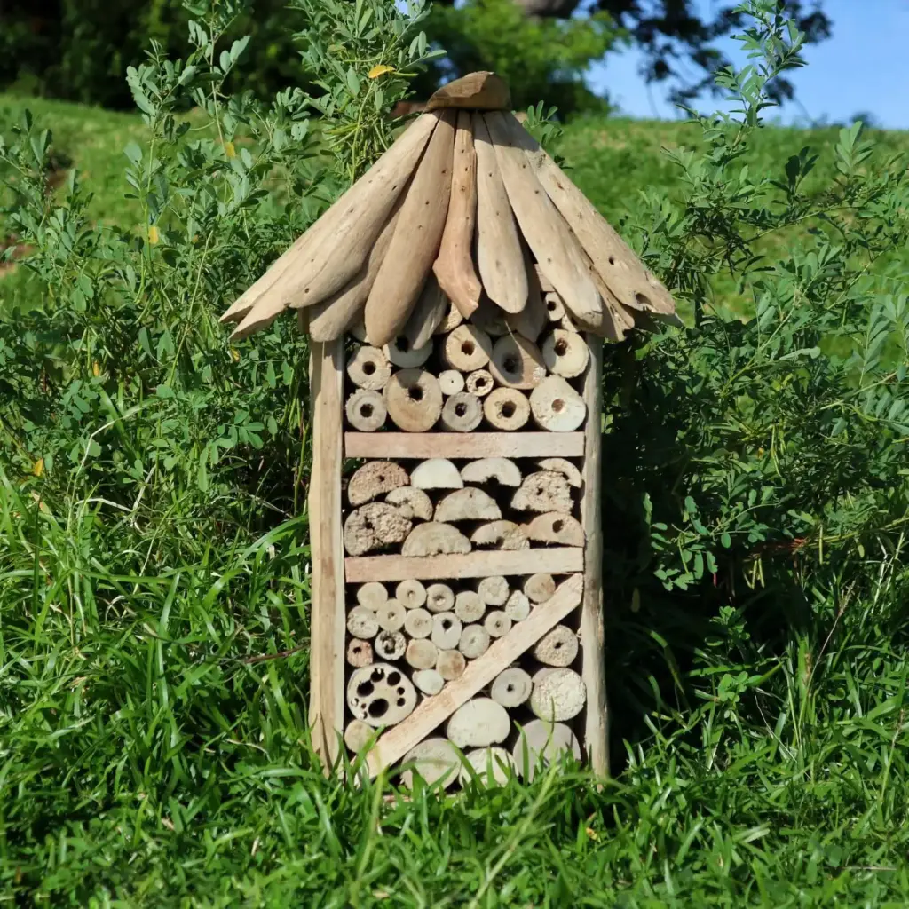 Driftwood Bee & Insect Highrise Box | www.artisangoods.co.uk 3 Driftwood Bee & Insect Highrise Box | www.artisangoods.co.uk 3