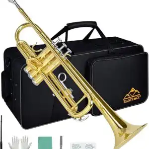 EASTROCK Bb Trumpet Standard Gold Brass Instrument with Case