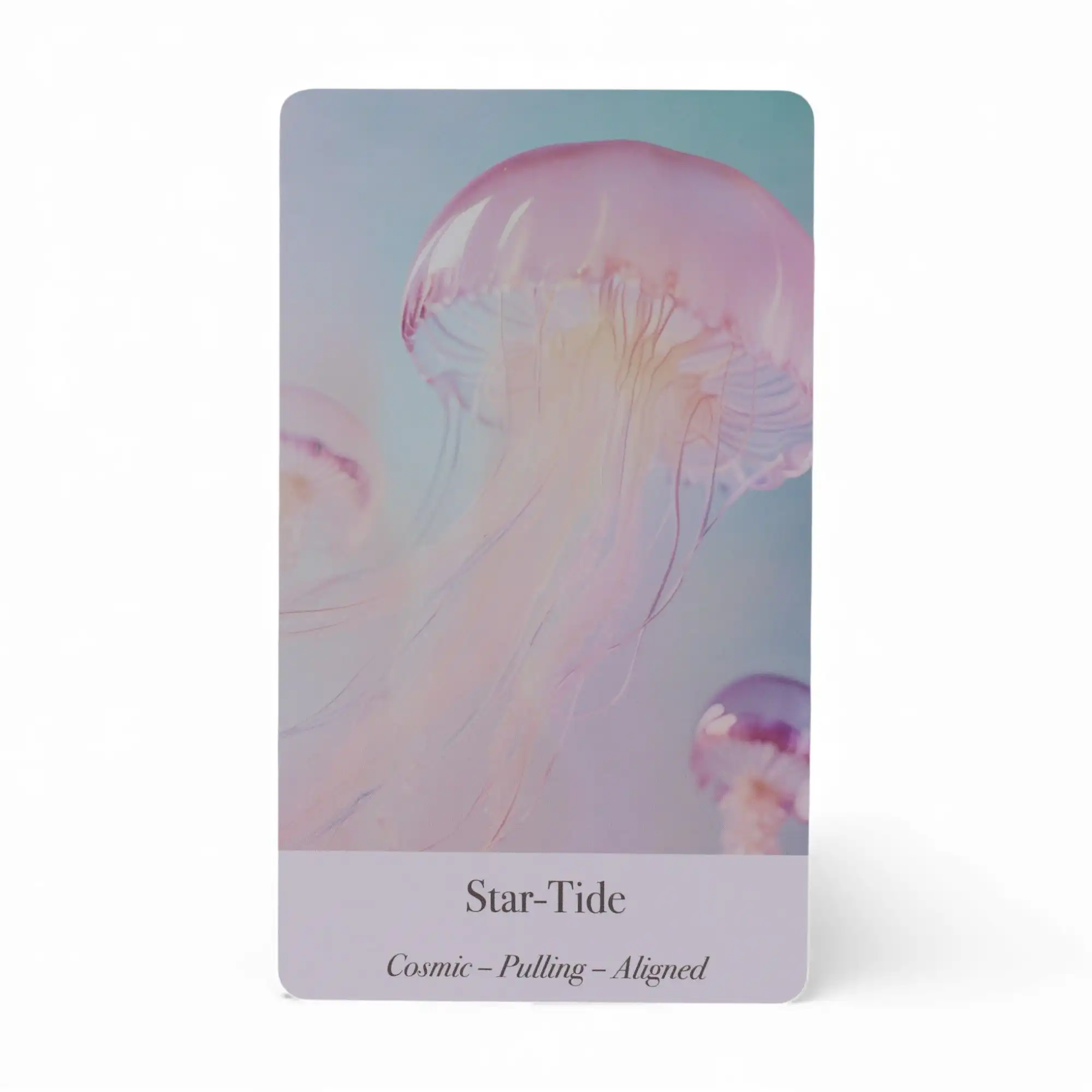 Ethereal Waters Oracle Cards – Sirens & Moonlight | www.artisangoods.co.uk 5 Ethereal Waters Oracle Cards – Sirens & Moonlight | www.artisangoods.co.uk 4