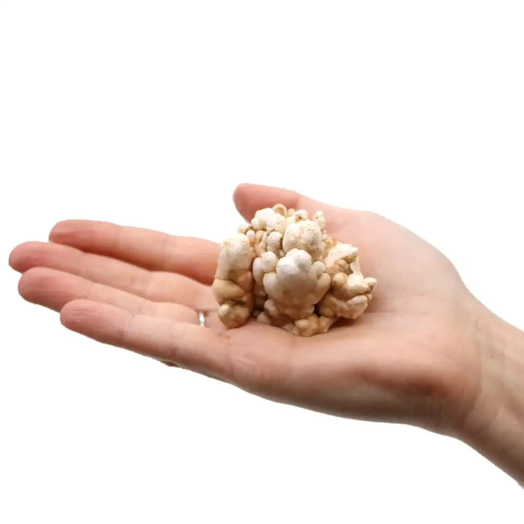Finger Quartz (1kg pack) | www.artisangoods.co.uk 10 Finger Quartz (1kg pack) | www.artisangoods.co.uk 10