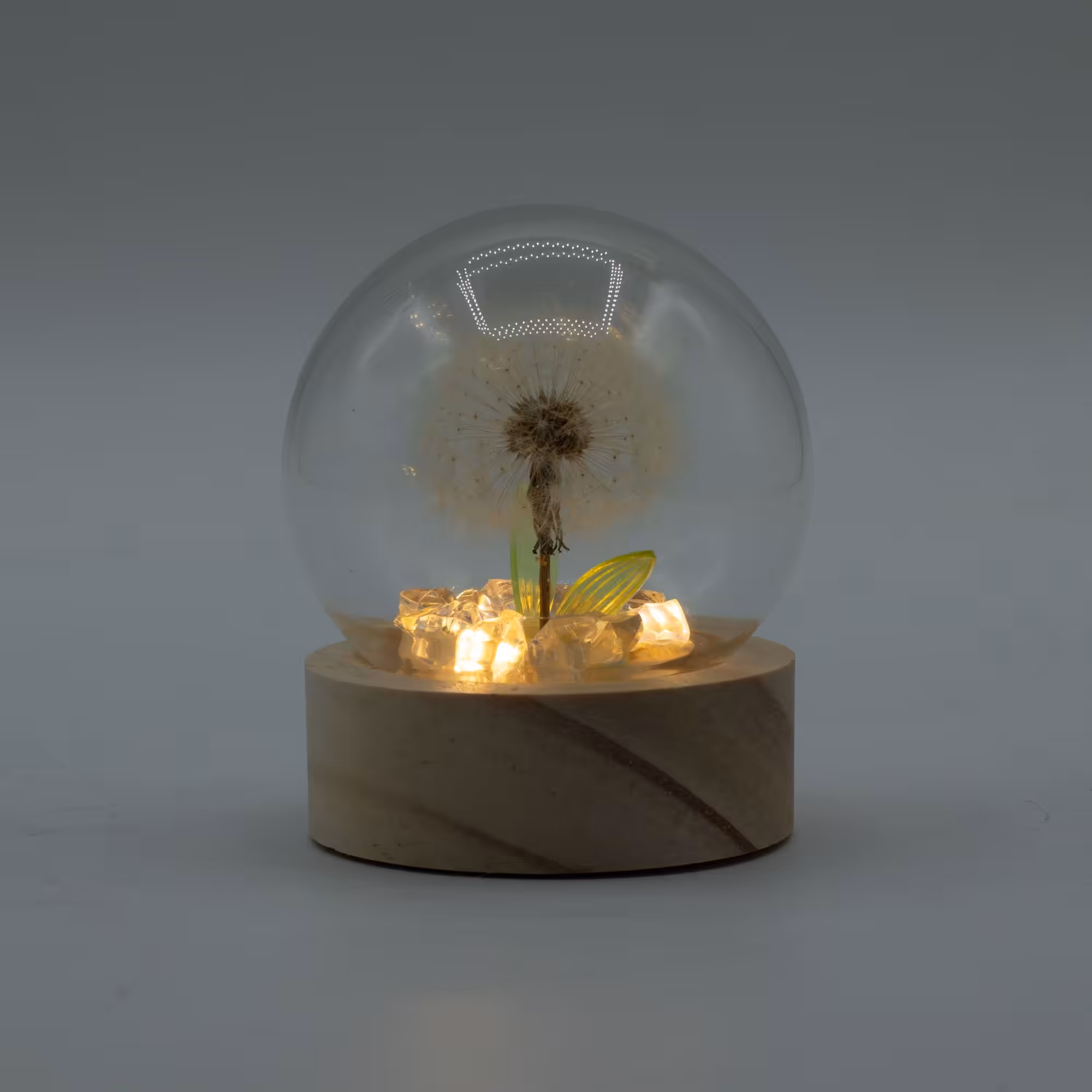 Floral Glow Garden Dome – 1 Dandilion- LED Battery | www.artisangoods.co.uk 4 Floral Glow Garden Dome - 1 Dandilion- LED Battery - Image 3
