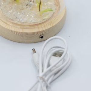 Floral Glow Garden Dome – 2 Dandelions – LED USB | www.artisangoods.co.uk 5