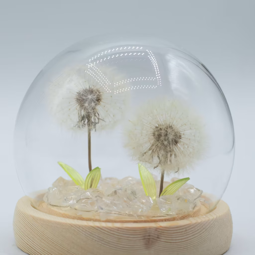Floral Glow Garden Dome – 2 Dandelions – LED USB | www.artisangoods.co.uk 4