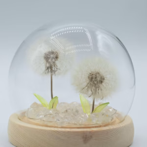 Floral Glow Garden Dome – 2 Dandelions – LED USB | www.artisangoods.co.uk 4
