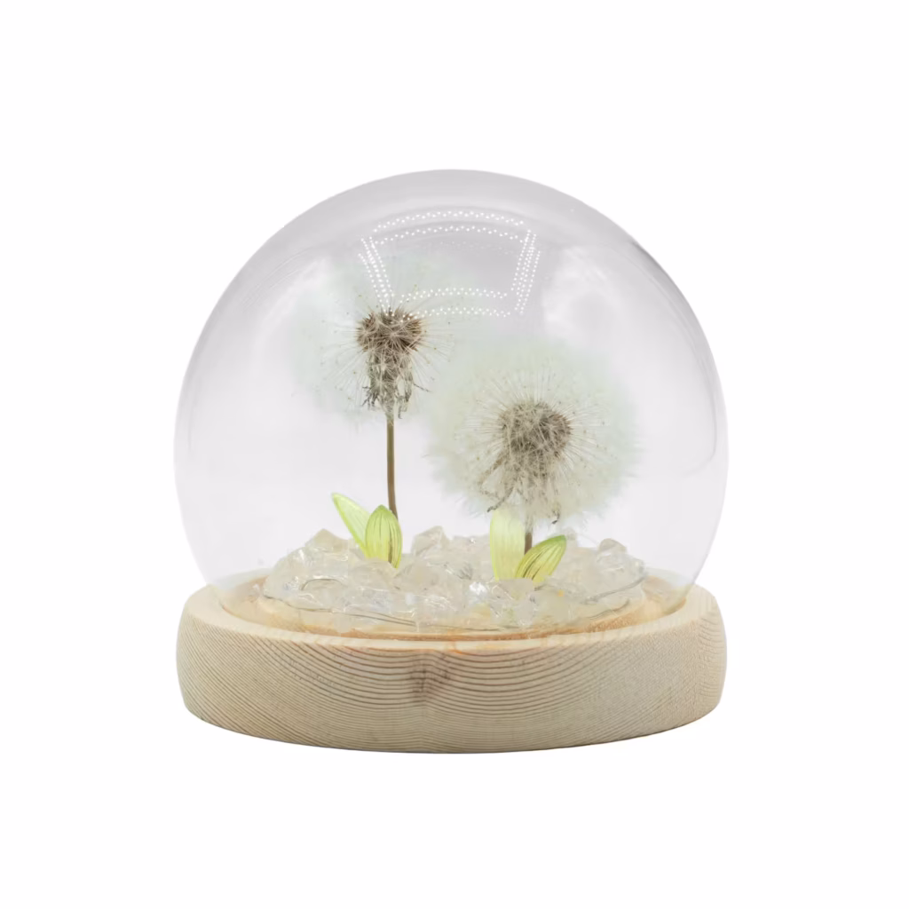 Floral Glow Garden Dome – 2 Dandelions – LED USB | www.artisangoods.co.uk 3