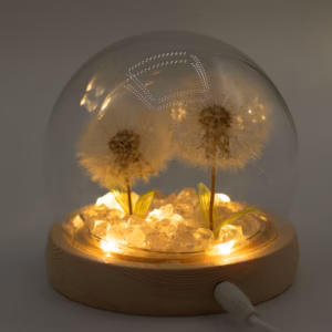 Floral Glow Garden Dome – 2 Dandelions – LED USB | www.artisangoods.co.uk 2