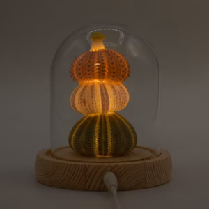 Floral Glow Garden Dome – 3 Sea Urchins – LED USB | www.artisangoods.co.uk 6