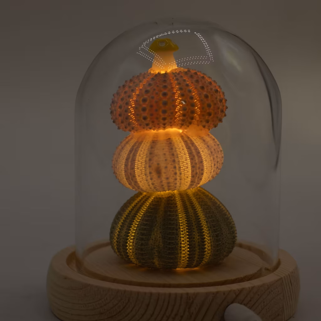 Floral Glow Garden Dome – 3 Sea Urchins – LED USB | www.artisangoods.co.uk 7