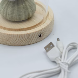 Floral Glow Garden Dome – 3 Sea Urchins – LED USB | www.artisangoods.co.uk 5