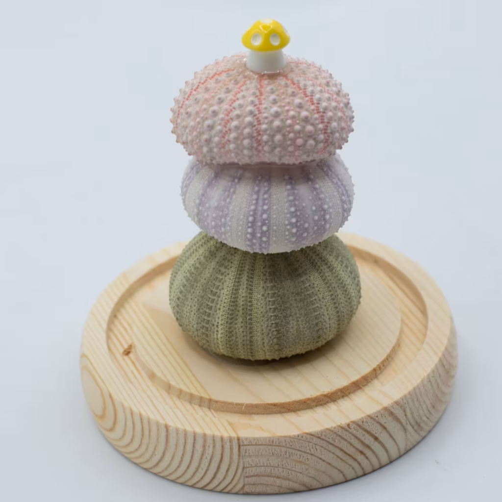Floral Glow Garden Dome – 3 Sea Urchins – LED USB | www.artisangoods.co.uk 4