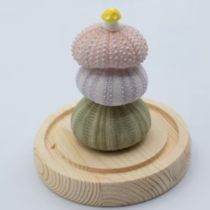Floral Glow Garden Dome – 3 Sea Urchins – LED USB | www.artisangoods.co.uk 4