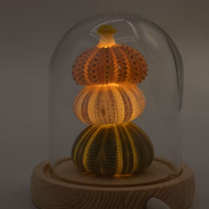 Floral Glow Garden Dome – 3 Sea Urchins – LED USB | www.artisangoods.co.uk 7