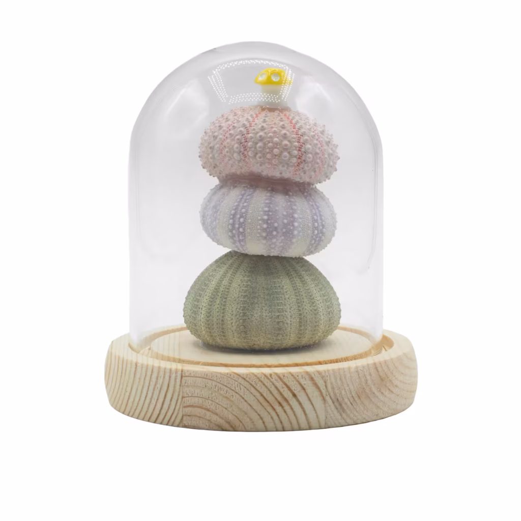 Floral Glow Garden Dome – 3 Sea Urchins – LED USB | www.artisangoods.co.uk 2