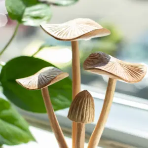 Handmade Parasite Wood Art Carving – Set of 4 Large Mushrooms | www.artisangoods.co.uk 4