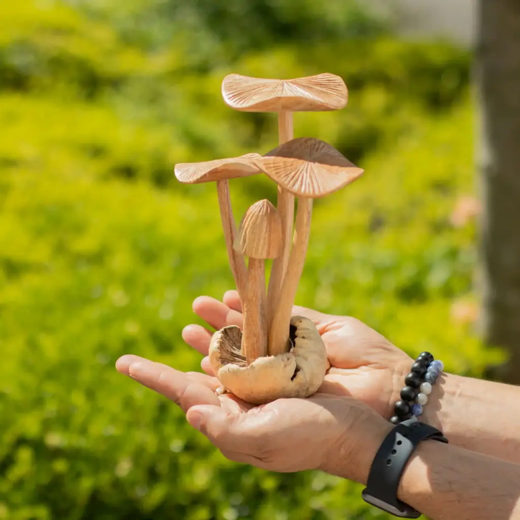 Handmade Parasite Wood Art Carving – Set of 4 Large Mushrooms | www.artisangoods.co.uk 5 Handmade Parasite Wood Art Carving – Set of 4 Large Mushrooms | www.artisangoods.co.uk 5