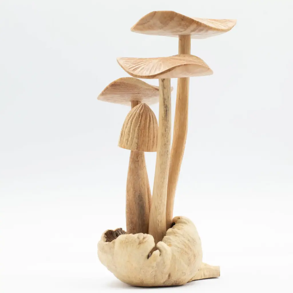 Handmade Parasite Wood Art Carving – Set of 4 Large Mushrooms | www.artisangoods.co.uk 3 Handmade Parasite Wood Art Carving – Set of 4 Large Mushrooms | www.artisangoods.co.uk 3