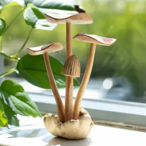 Handmade Parasite Wood Art Carving – Set of 4 Large Mushrooms | www.artisangoods.co.uk 2