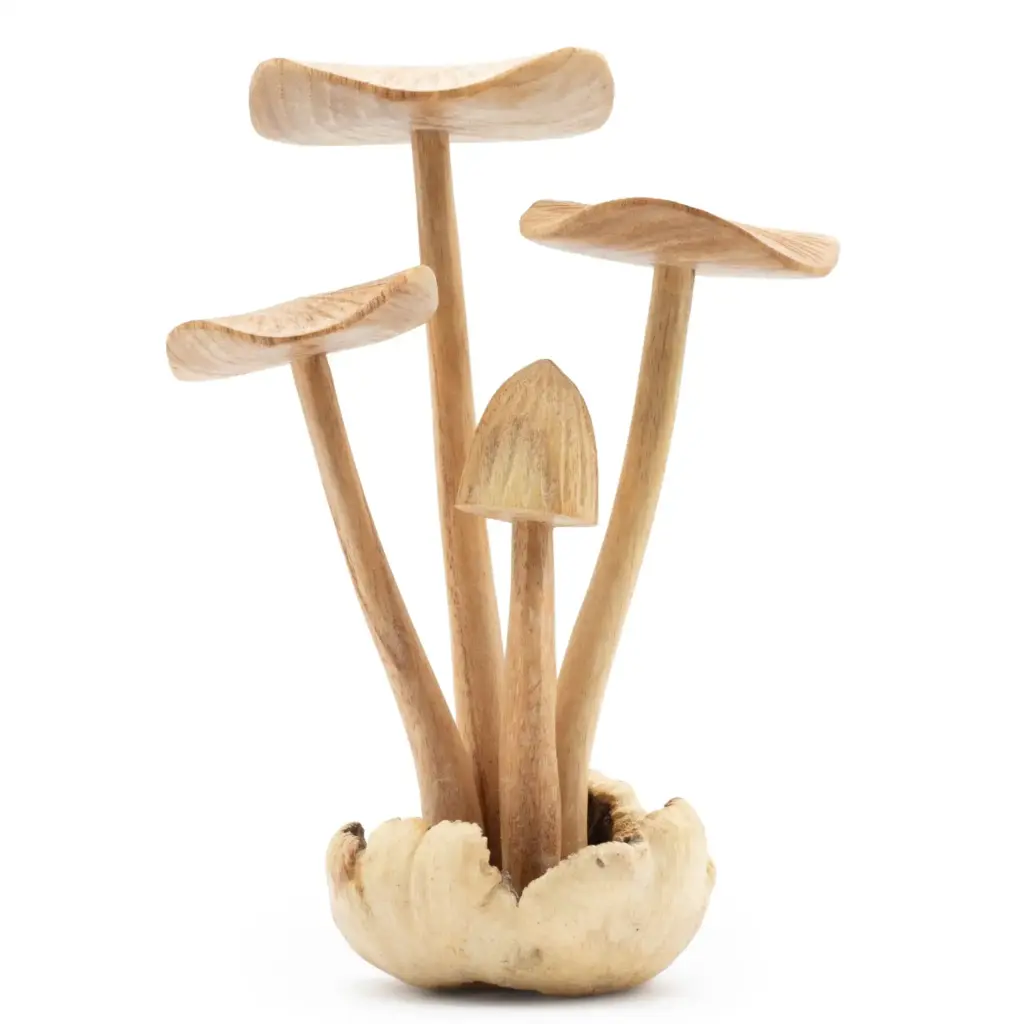 Handmade Parasite Wood Art Carving – Set of 4 Large Mushrooms | www.artisangoods.co.uk Handmade Parasite Wood Art Carving – Set of 4 Large Mushrooms | www.artisangoods.co.uk