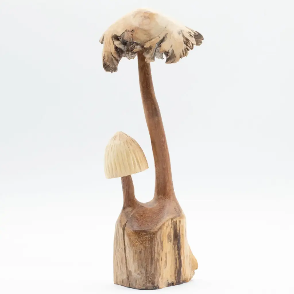 Handmade Parasite Wood Art Carving – Set of Two Mushoorms | www.artisangoods.co.uk 5 Handmade Parasite Wood Art Carving – Set of Two Mushoorms | www.artisangoods.co.uk 5