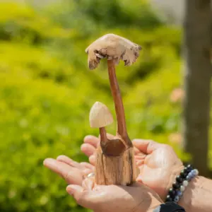 Handmade Parasite Wood Art Carving – Set of Two Mushoorms | www.artisangoods.co.uk 3