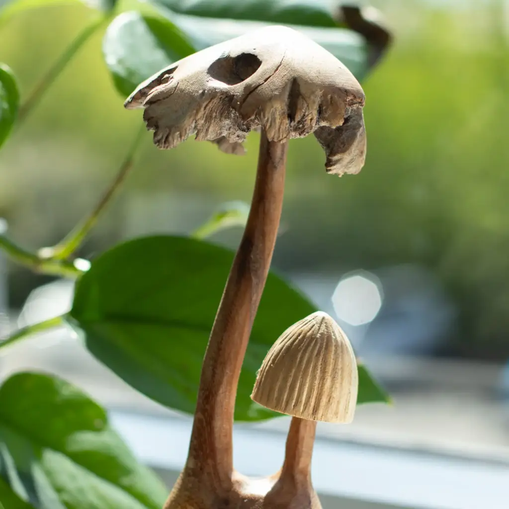 Handmade Parasite Wood Art Carving – Set of Two Mushoorms | www.artisangoods.co.uk Handmade Parasite Wood Art Carving – Set of Two Mushoorms | www.artisangoods.co.uk