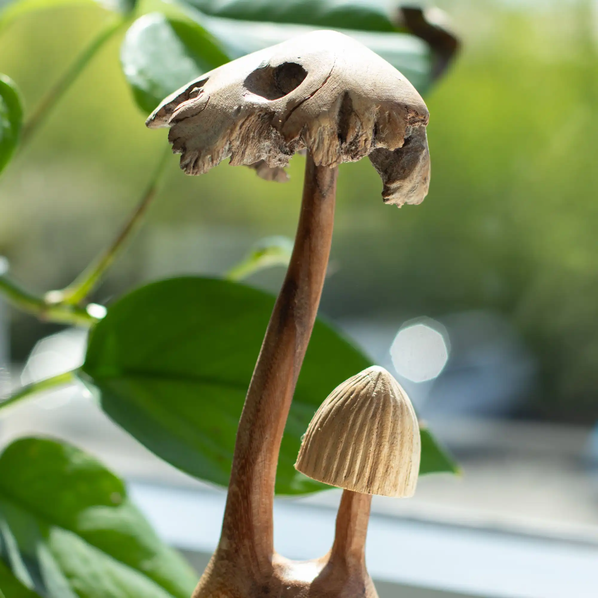 Handmade Parasite Wood Art Carving – Set of Two Mushoorms | www.artisangoods.co.uk 2 Handmade Parasite Wood Art Carving - Set of Two Mushoorms
