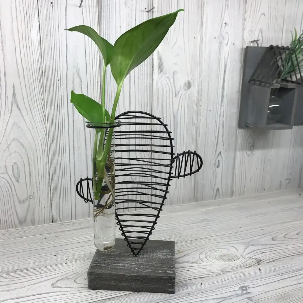 Hydroponic Home Décor – Cactus & Lab Pot | www.artisangoods.co.uk