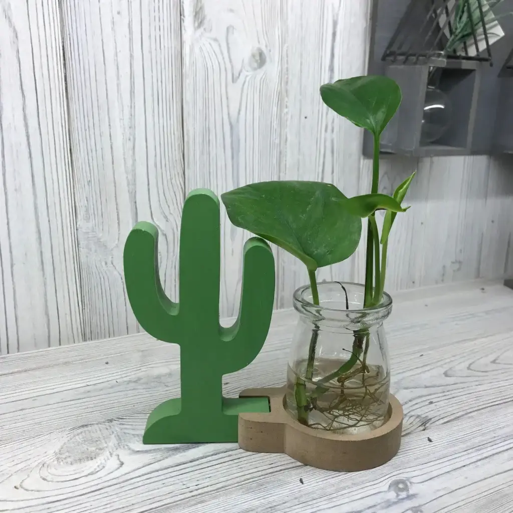 Hydroponic Home Décor – Cactus Pot | www.artisangoods.co.uk 2 Hydroponic Home Décor – Cactus Pot | www.artisangoods.co.uk 2