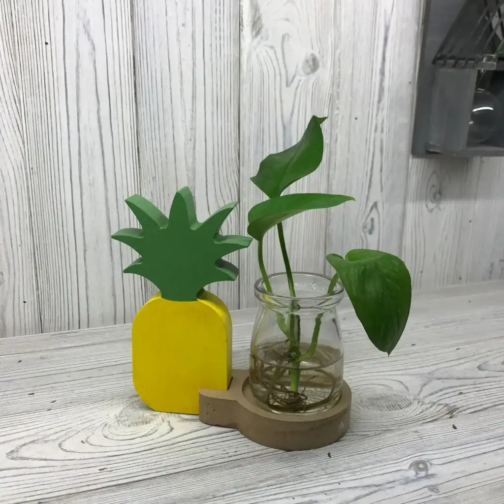 Hydroponic Home Décor – Pineapple Pot | www.artisangoods.co.uk 2