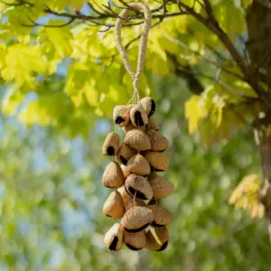 Kenari Shell Long Rattle (50 Shells) | www.artisangoods.co.uk 6