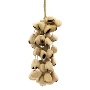 Large Pangi Seed Shell – Natural Nut Shaker (50 Shells) | www.artisangoods.co.uk 4