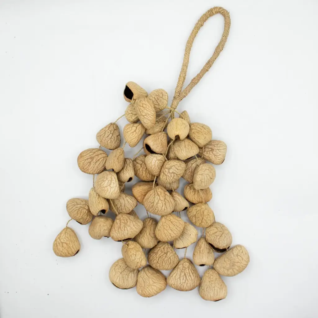 Large Pangi Seed Shell – Natural Nut Shaker (50 Shells) | www.artisangoods.co.uk 3