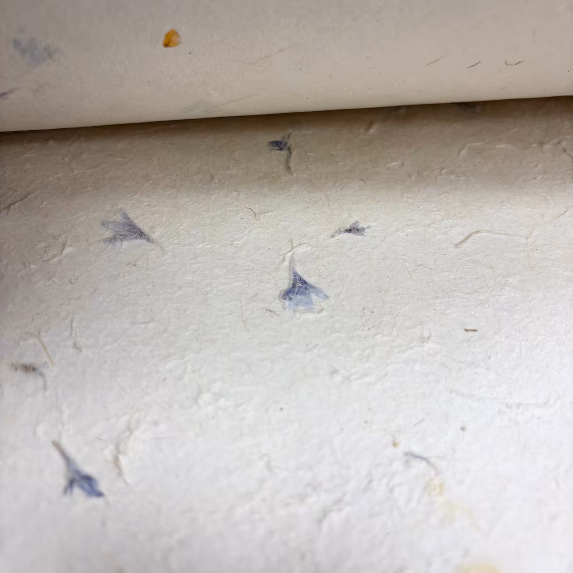 Lokta Craft & Wrapping Paper 51x76cm – Cornflower Petal | www.artisangoods.co.uk 4 Lokta Craft & Wrapping Paper 51x76cm – Cornflower Petal - Image 3