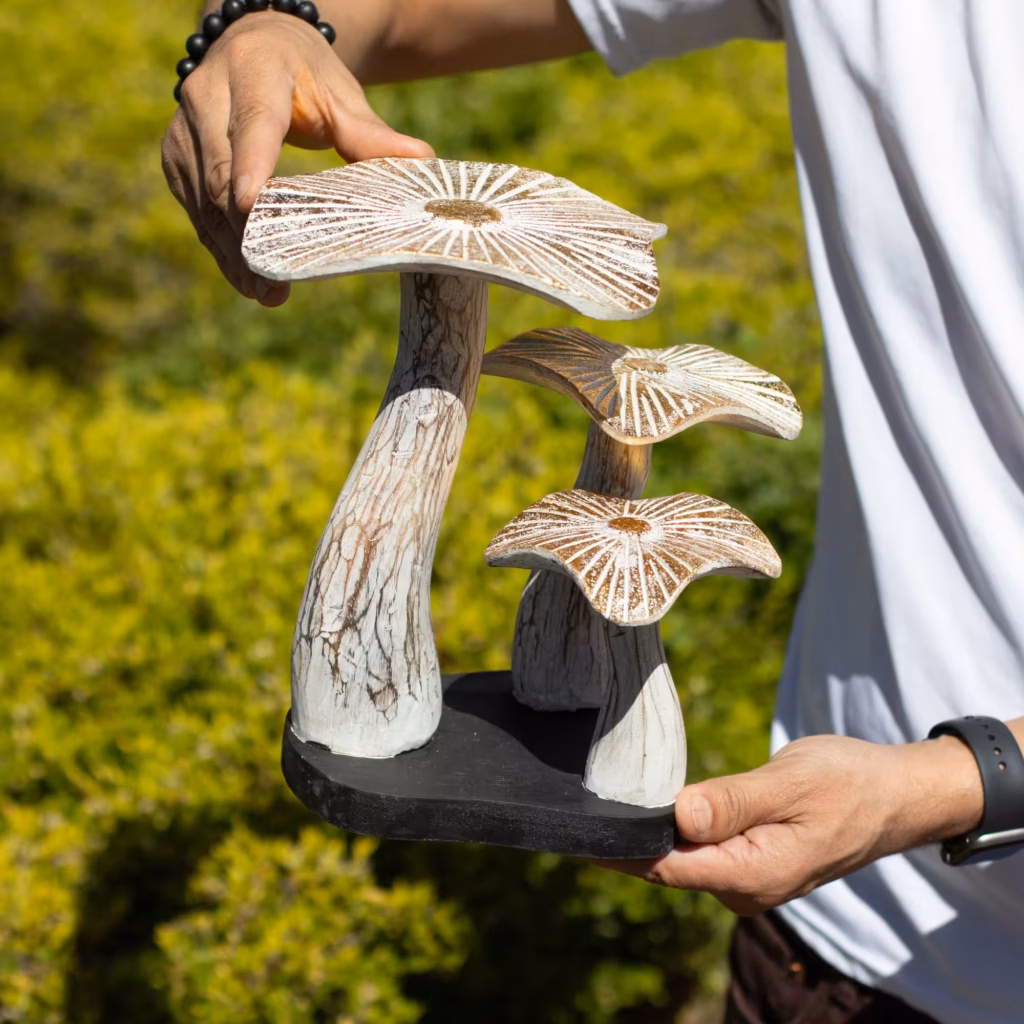 Medium Golden Mushroom Art – 25cm – Whitewash | www.artisangoods.co.uk