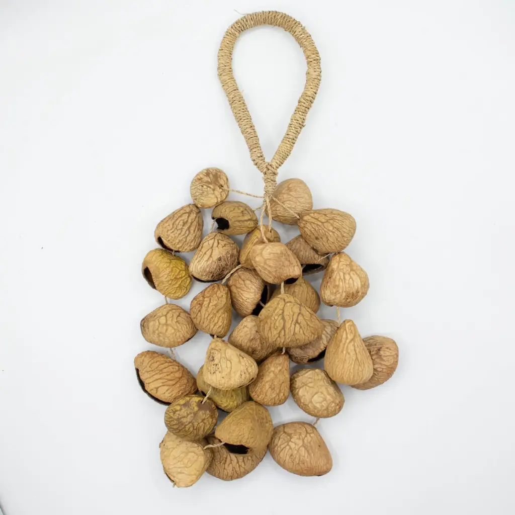 Medium Pangi Seed Shell – Natural Nut Shaker (30 Shells) | www.artisangoods.co.uk 4 Medium Pangi Seed Shell – Natural Nut Shaker (30 Shells) | www.artisangoods.co.uk 4