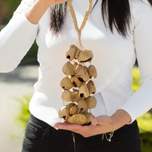 Medium Pangi Seed Shell – Natural Nut Shaker (30 Shells) | www.artisangoods.co.uk 2