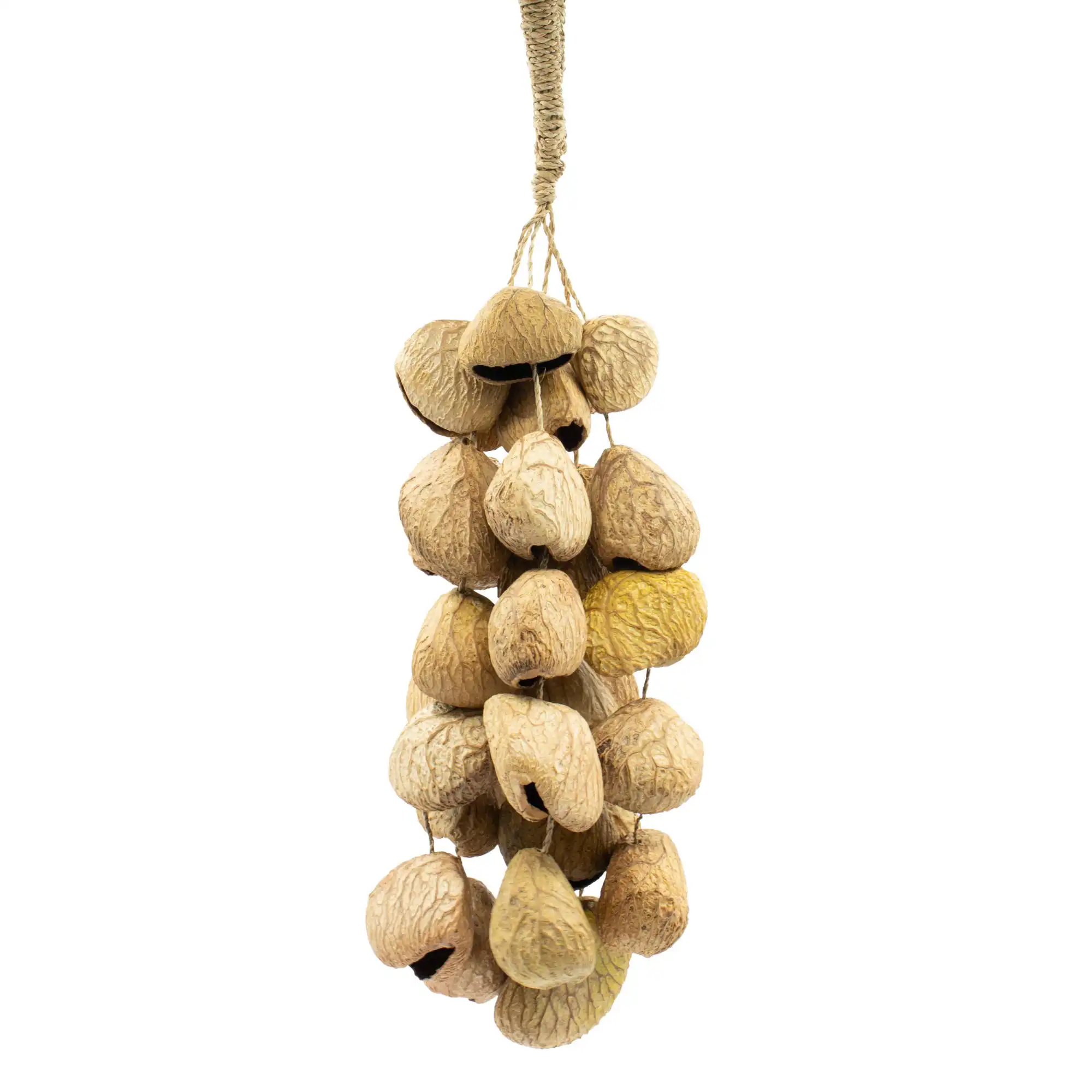 Medium Pangi Seed Shell – Natural Nut Shaker (30 Shells) | www.artisangoods.co.uk 2 Medium Pangi Seed Shell - Natural Nut Shaker (30 Shells)